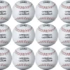 DICK'S Sporting Goods Synthetic Baseballs – 12 Pack 1 DICK'S Sporting Goods Synthetic Baseballs – 12 Pack -DUCK Sporting Goods 16DSGU12PKDSGBSBLBSBA