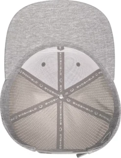 EvoShield B.I.G. Snapback Hat -DUCK Sporting Goods ESBIGSNP WTV8743HGOSFM HeatherGrey TOP